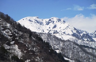 残雪